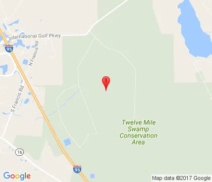 logo-image - StJohns-FL